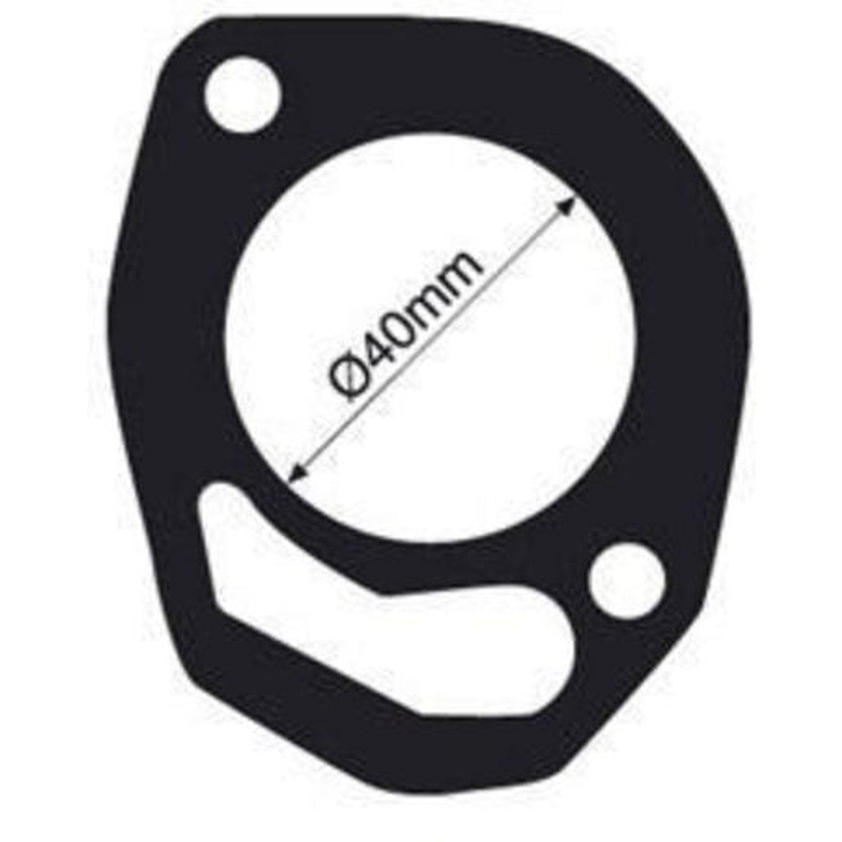 Tridon Thermostat Gasket TTG55