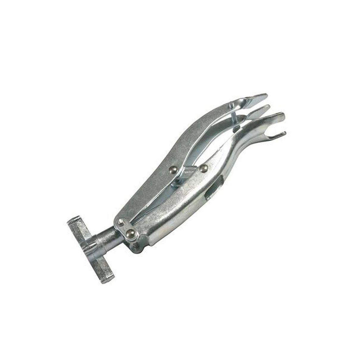 Toledo Valve Spring Comp S/Valve 304185