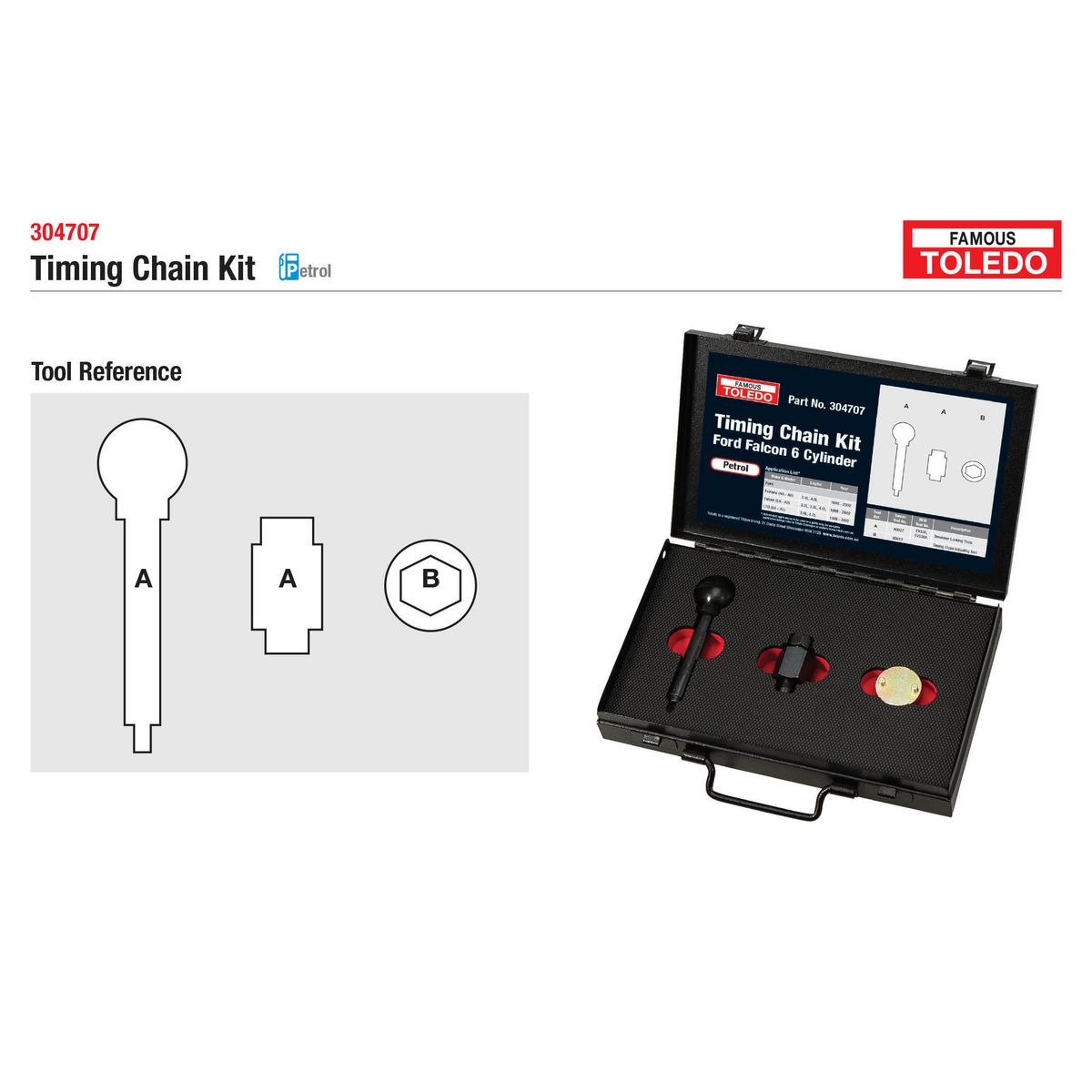 Toledo Timing Chain Kit 304707