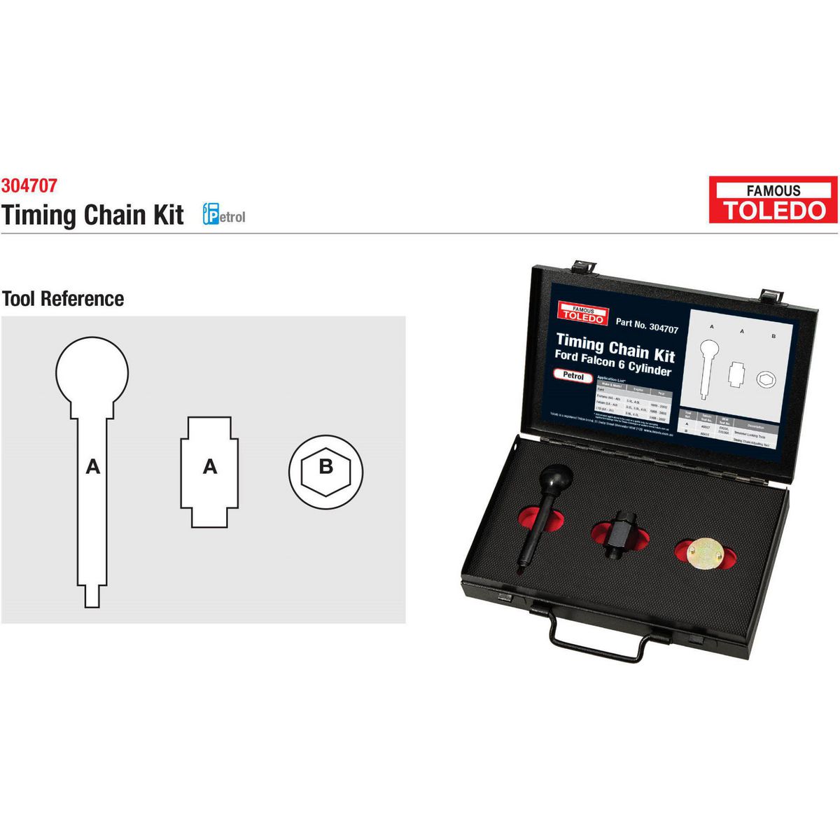 Toledo Timing Chain Kit 304707