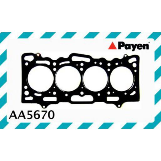 Payen Cylinder Head Gasket AA5670