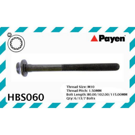 Payen Bolt Set-Cylinder Head HBS060