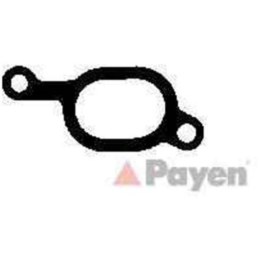 Payen Manifold Gasket JA5040