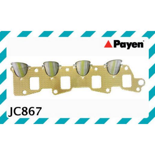 Payen Manifold Gasket JC867