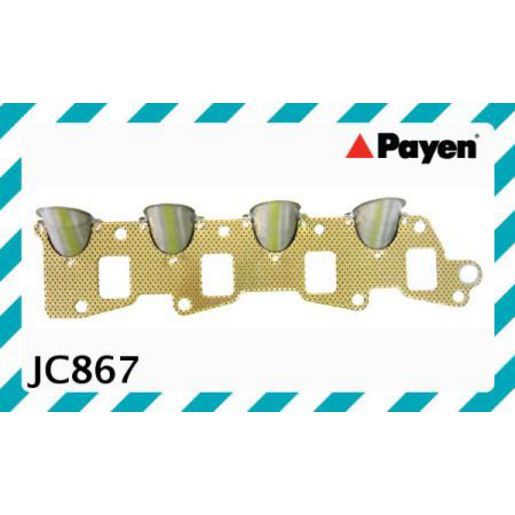 Payen Manifold Gasket JC867