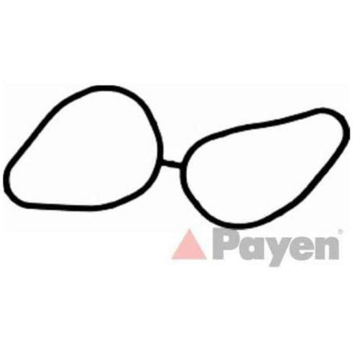 Payen Manifold Gasket JD5203