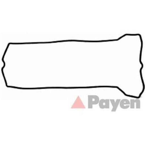 Payen Valve Cover Gasket JM5114