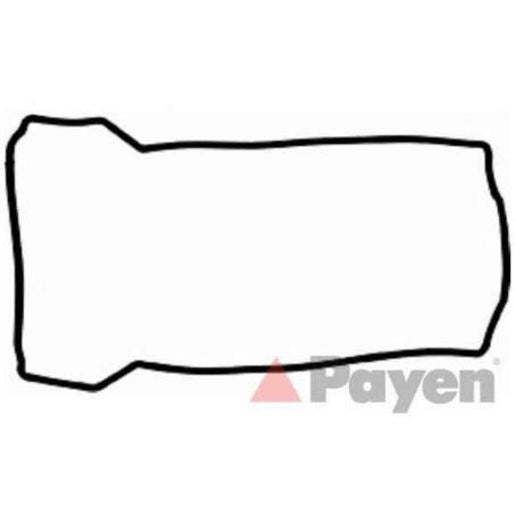 Payen Valve Cover Gasket JN911