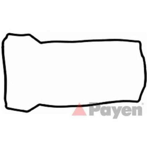 Payen Valve Cover Gasket JN911