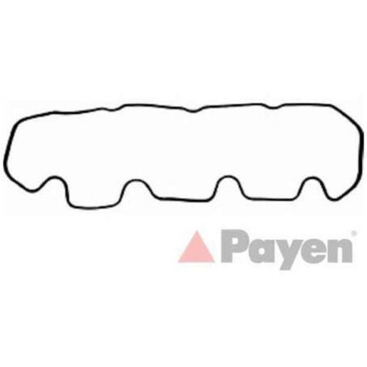 Payen Valve Cover Gasket JP020