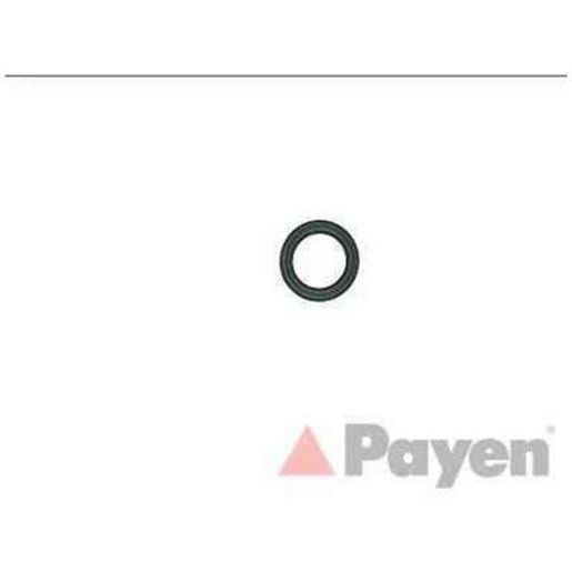 Payen Valve Cover Gasket JP077
