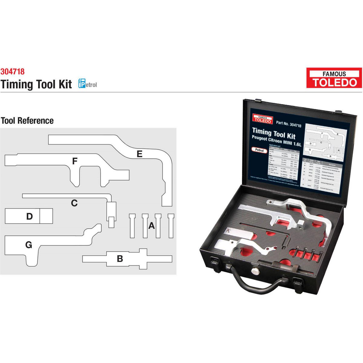Toledo Timing Tool Kit 304718