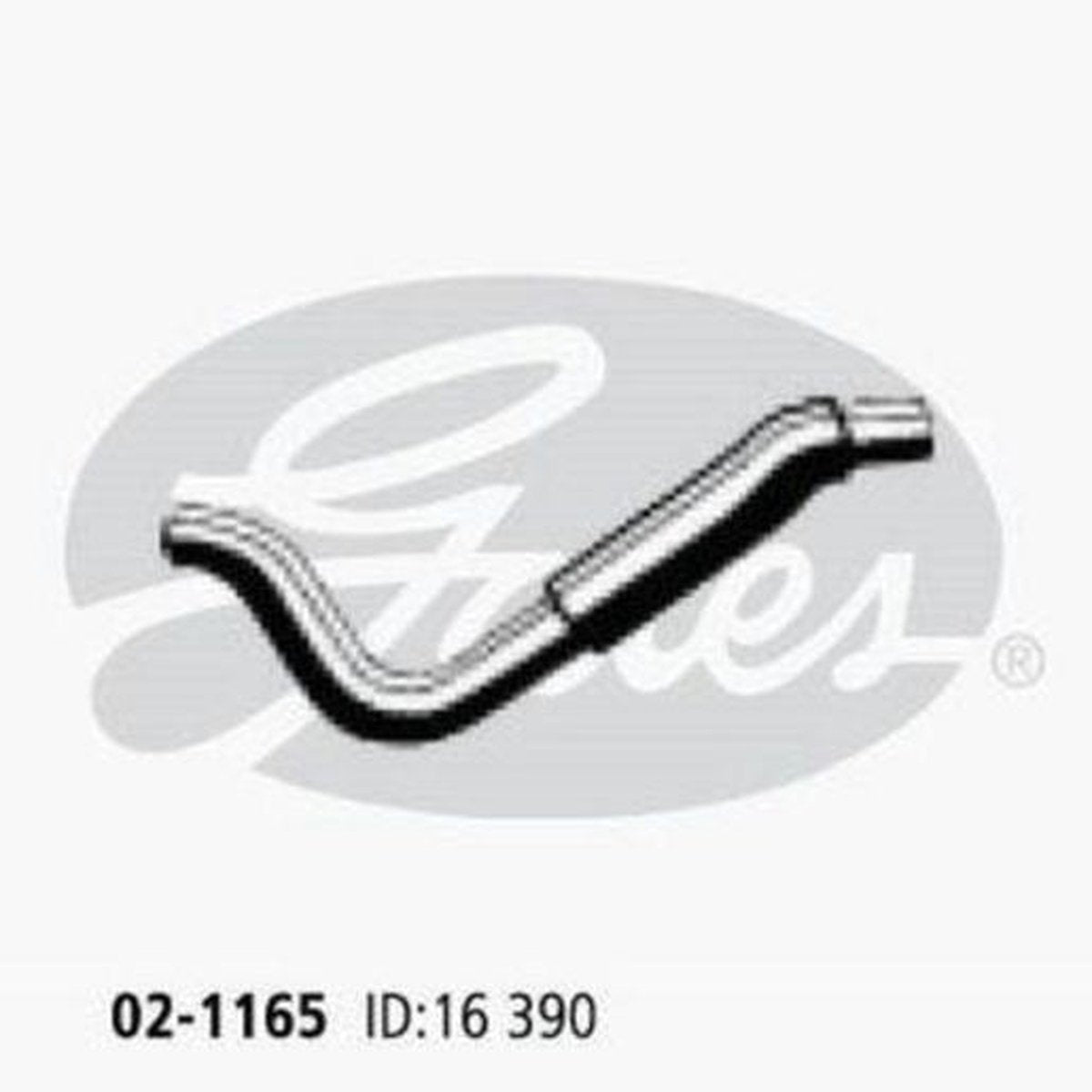 Gates Radiator Hose 02-1165