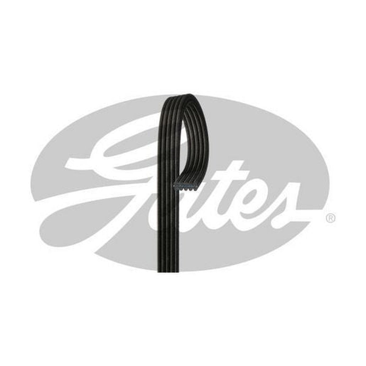 Gates Micro-V Belt 5DPK1435