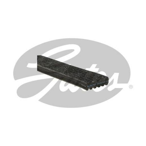 Gates Micro-V Belt 5DPK1550