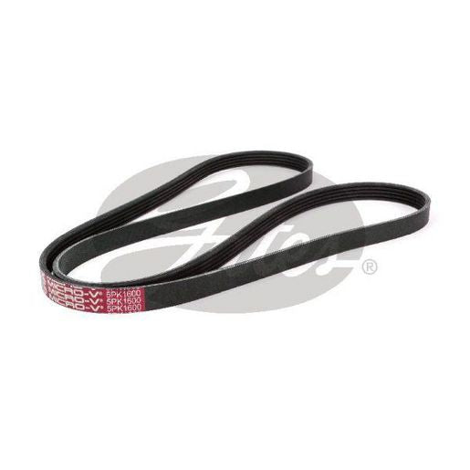 Gates Micro-V Belt 5PK1600