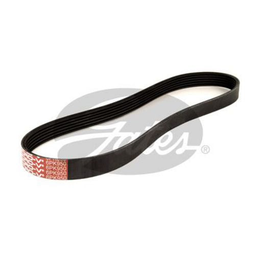 Gates Ribbed Belt 6PK950