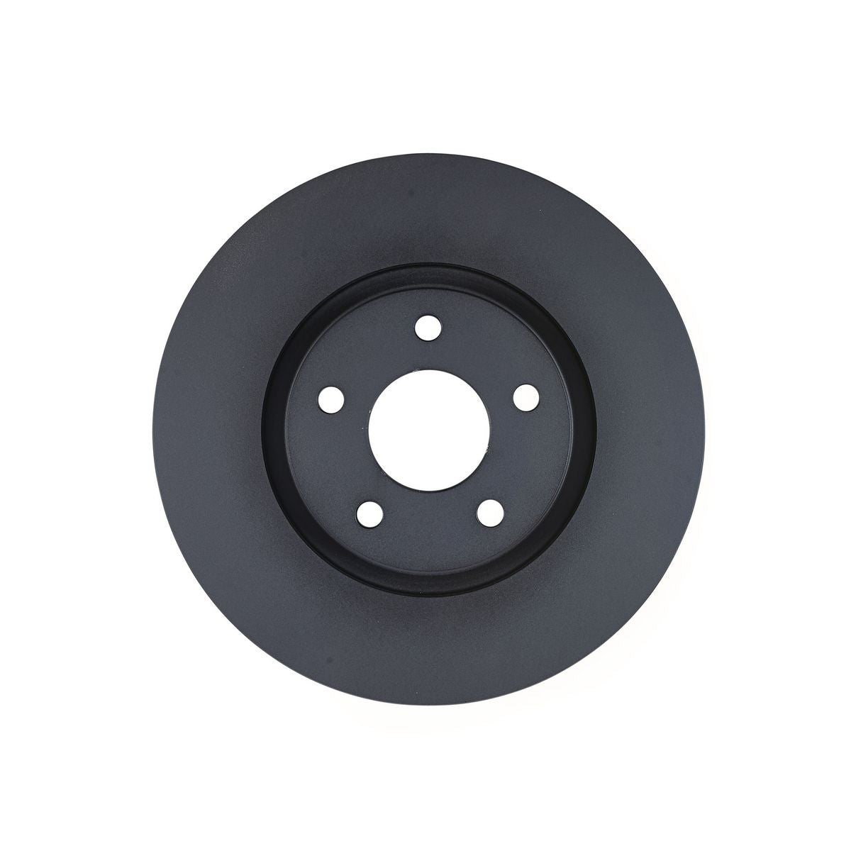 RDA OE Replacement Brake Rotor Single 300mm Front RDA7039