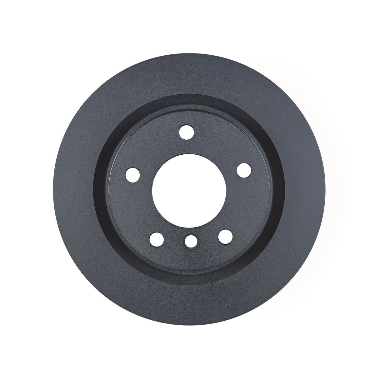 RDA OE Replacement Brake Rotor Single 300mm Rear RDA7096