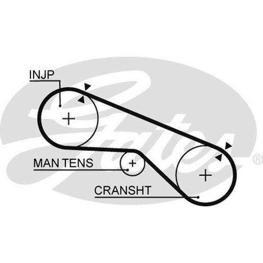 Gates Timing Belt T958