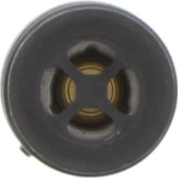 Dayco Thermostat DT164M