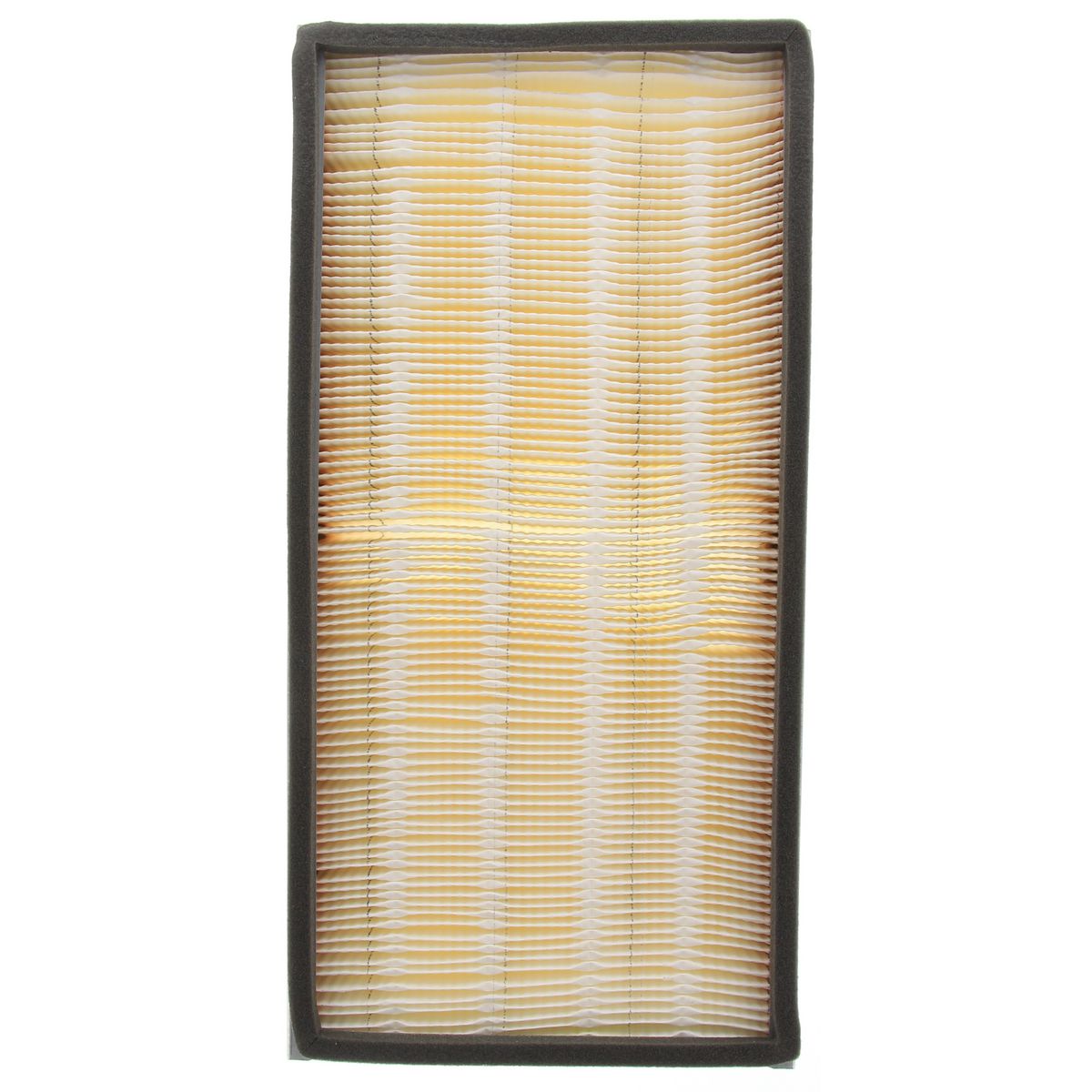 Donaldson Air Filter P618642