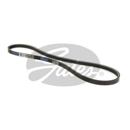 Gates Ribbed Belt 3PK635SF