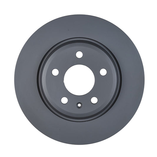 RDA OE Replacement Brake Rotor Single 300mm Rear RDA8010