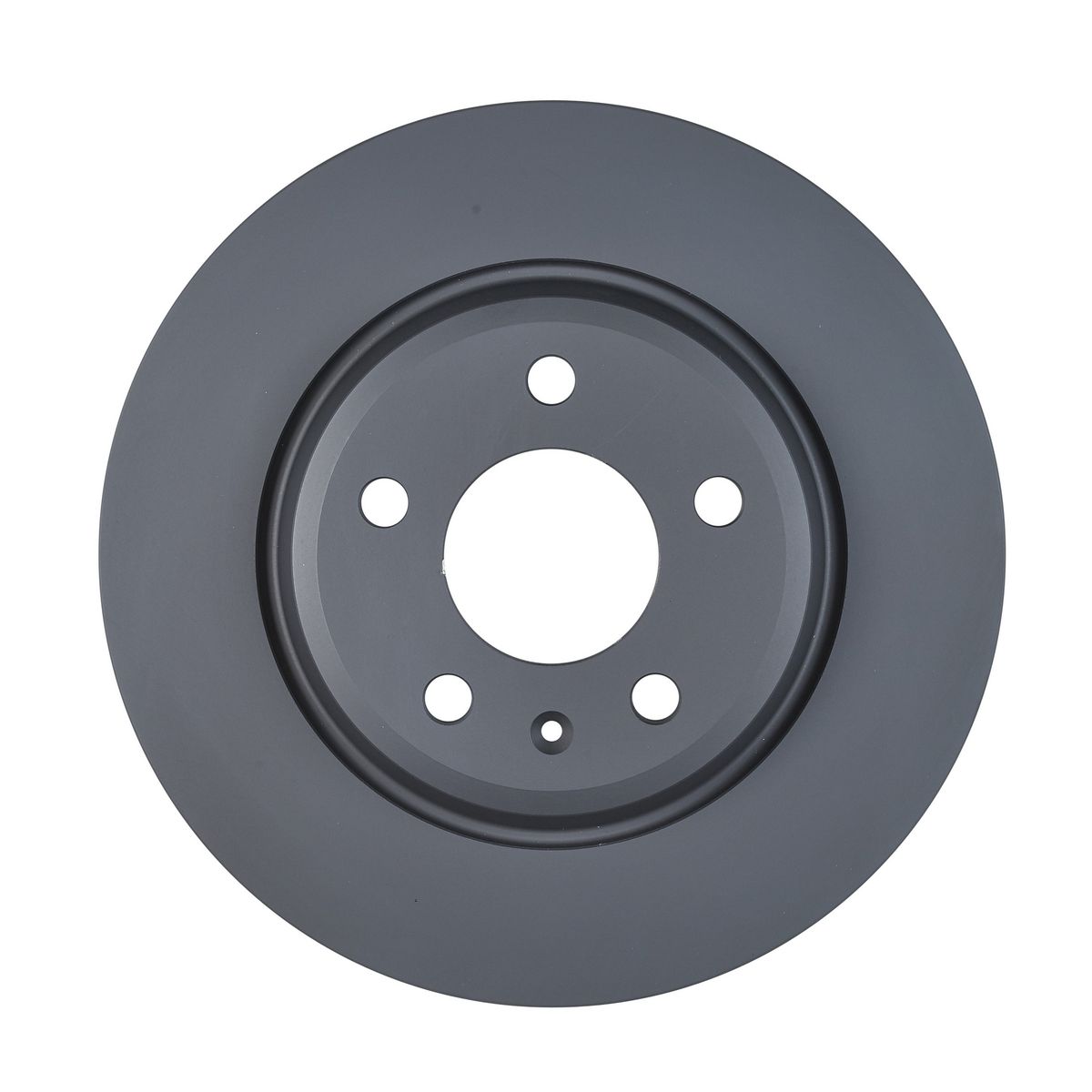 RDA OE Replacement Brake Rotor Pair 300mm Rear RDA8010