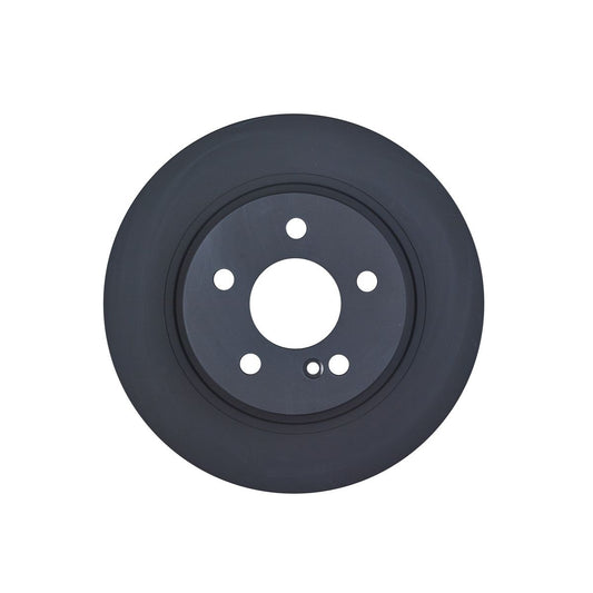 RDA OE Replacement Brake Rotor Single 300mm Rear RDA8089