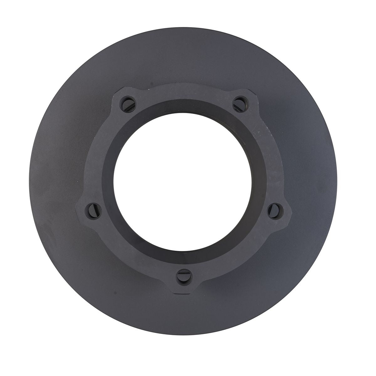 RDA OE Replacement Brake Rotor Pair 296mm Front RDA8266