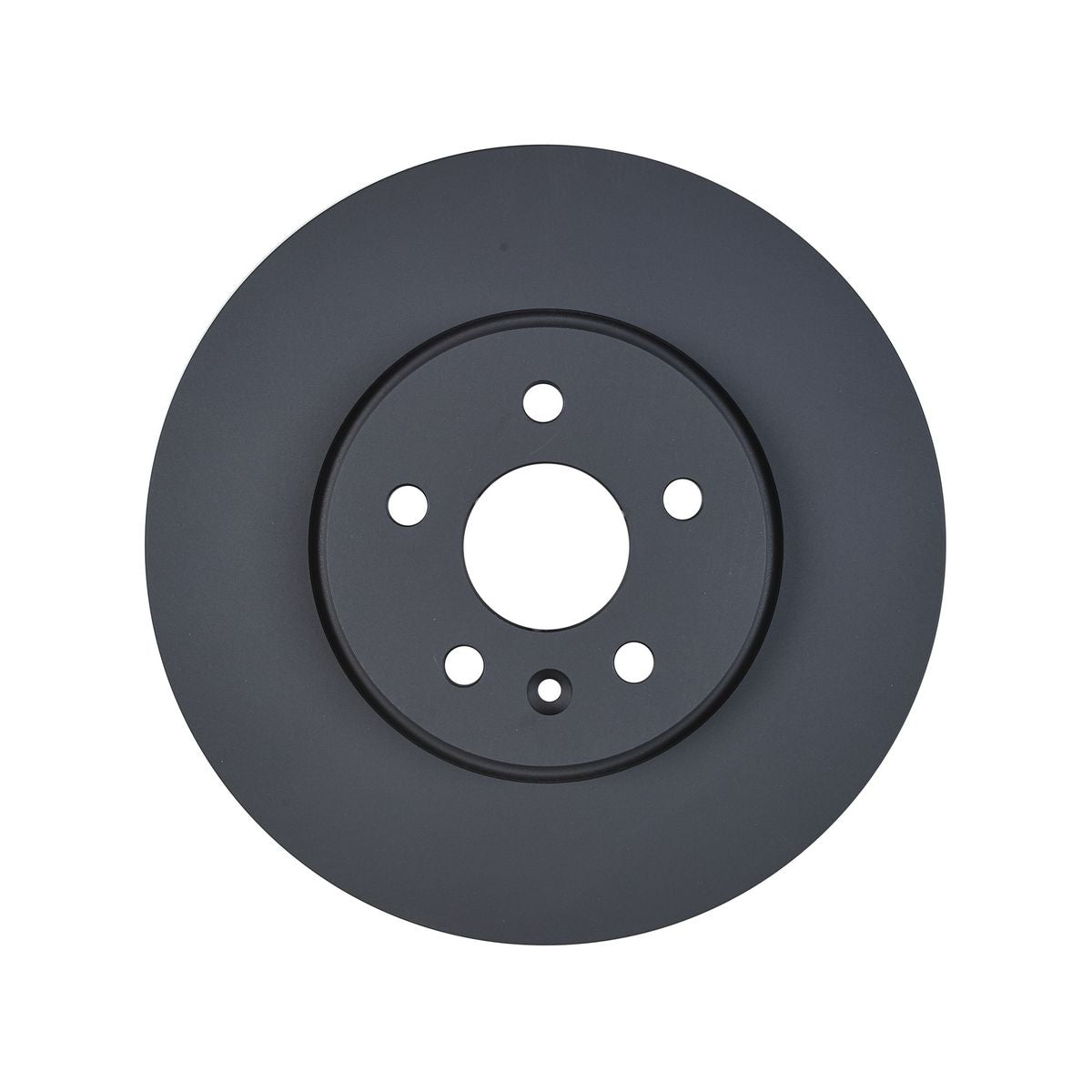 RDA OE Replacement Brake Rotor Single 300mm Front RDA8314