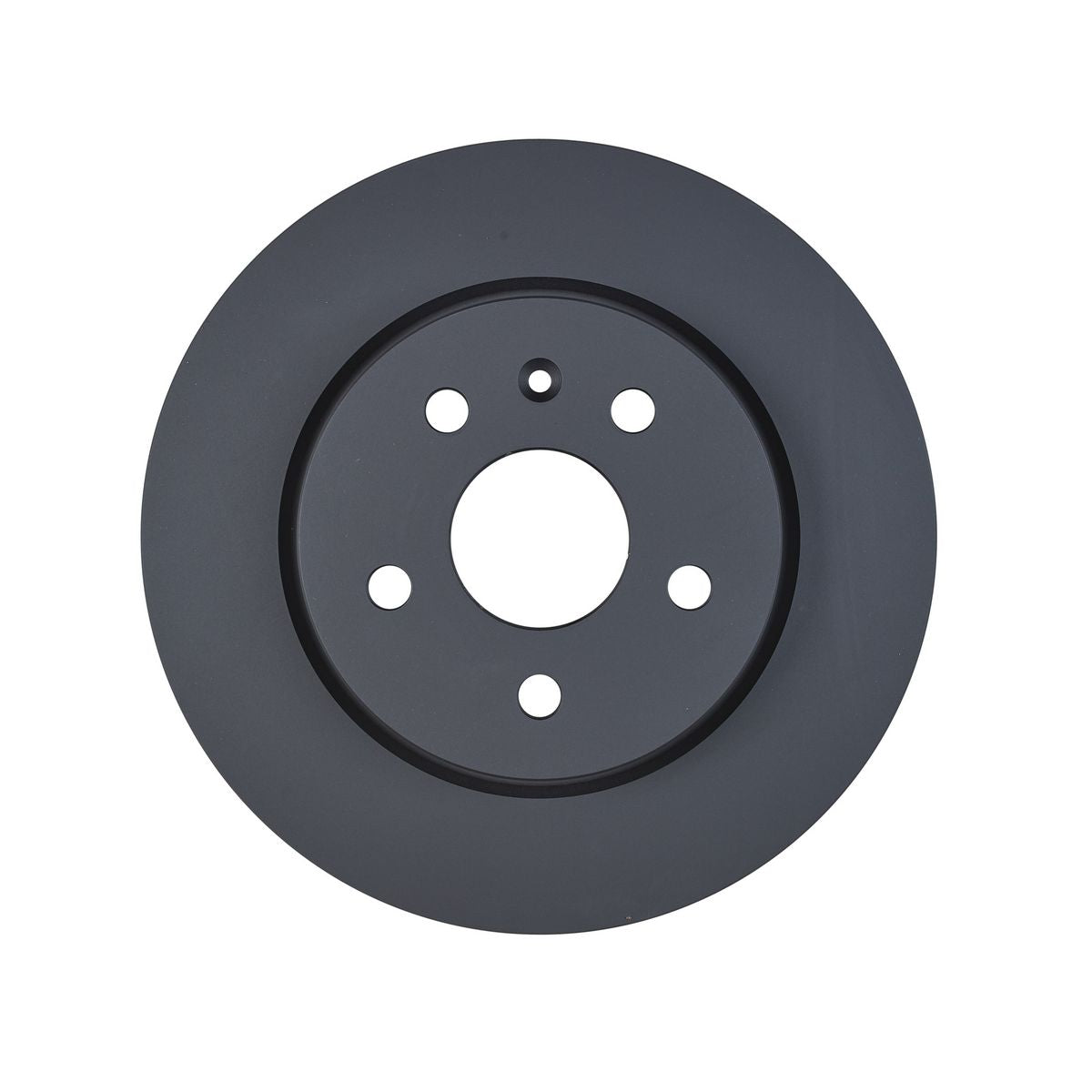 RDA OE Replacement Brake Rotor Single 315mm Rear RDA8334