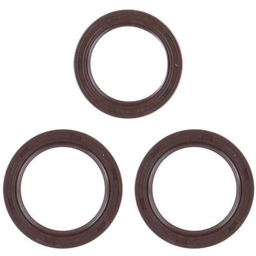 Permaseal Timing Belt Seal Kit SK114