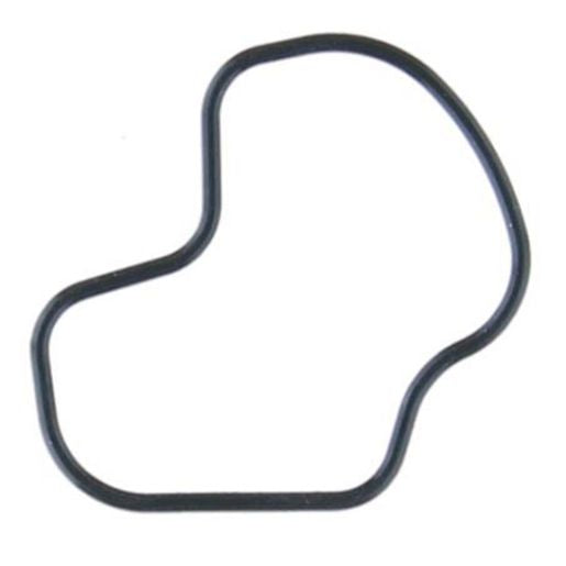 Permaseal Water Outlet Gasket TH209