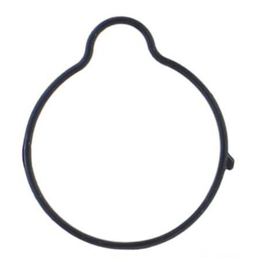 Permaseal Water Outlet Gasket WO135