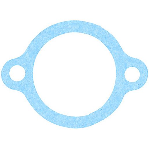 Permaseal Water Outlet Gasket LA199