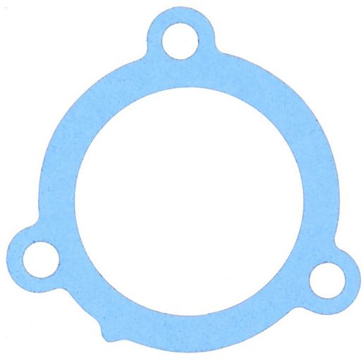 Permaseal Water Outlet Gasket TH202