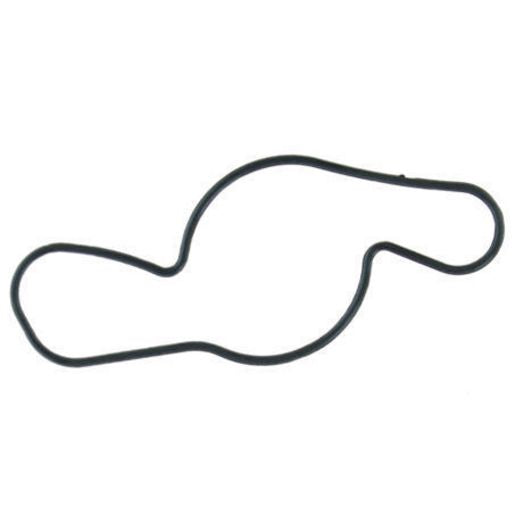 Permaseal Water Pump Gasket WP150
