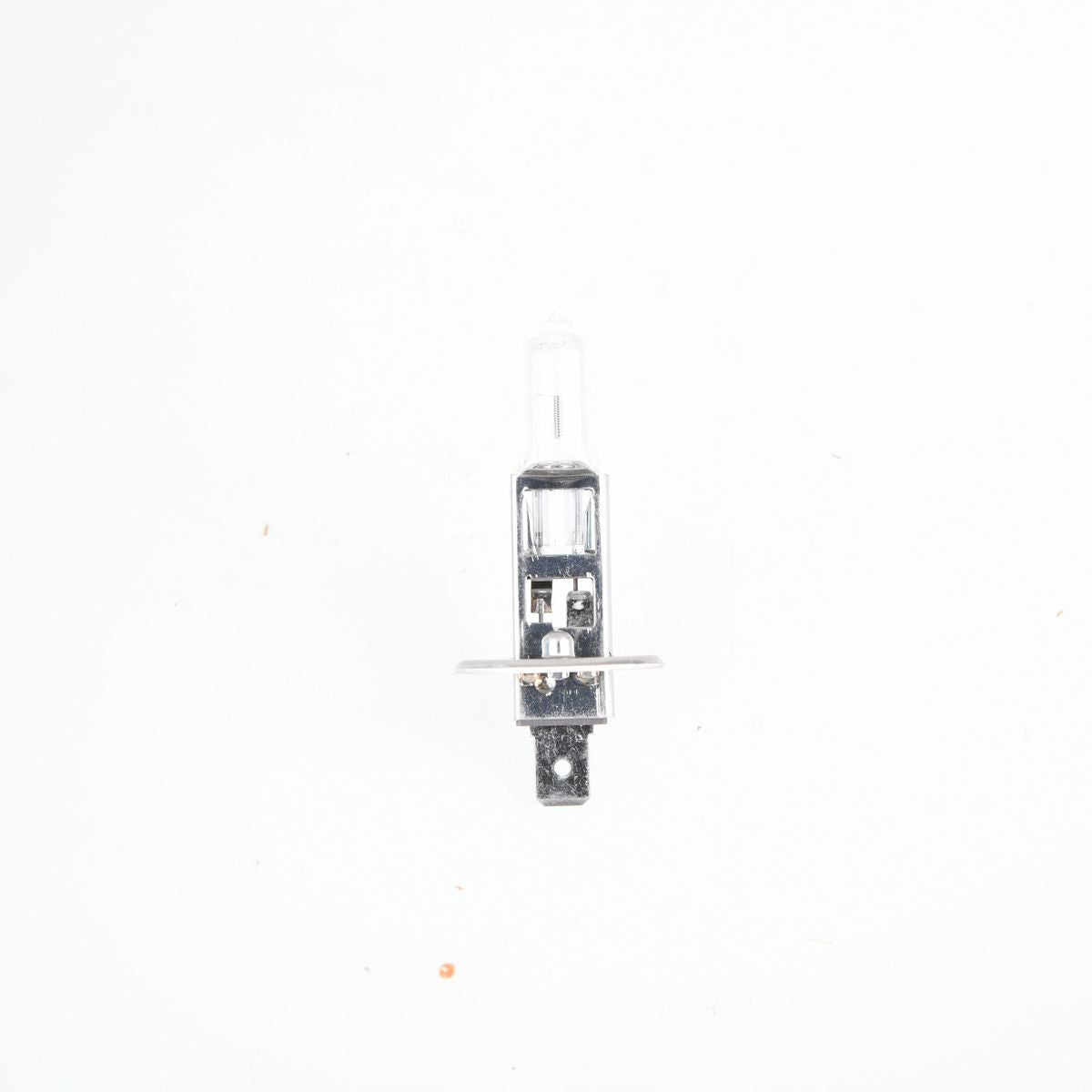 Proselect H1 Globe 12V 55W Plus 50 PSH1P50BL