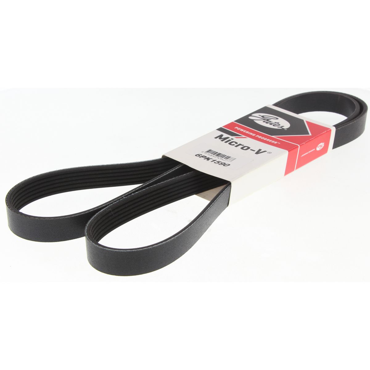 Dayco Ribbed Belt 6PK1590