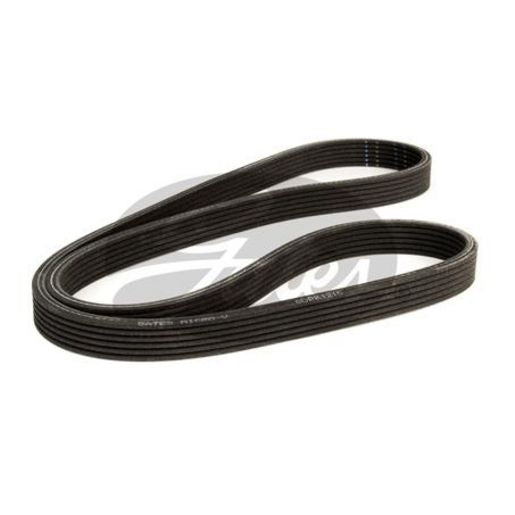 Gates Ribbed Belt 6DPK1215