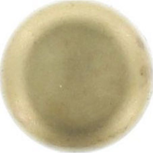 Kelpro Welch Plug Brass 3/4" RBC034