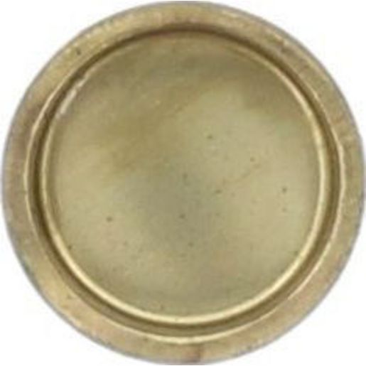 Kelpro Welch Plug Brass 3/4" RBC034