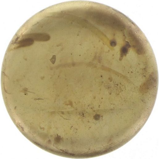 Premier Repco Brass Welch Plug 2-1/16In. RBC20116