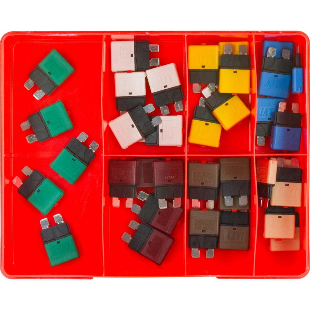 Champion Fasteners Circuit Breaker Fuse Assortment CA113