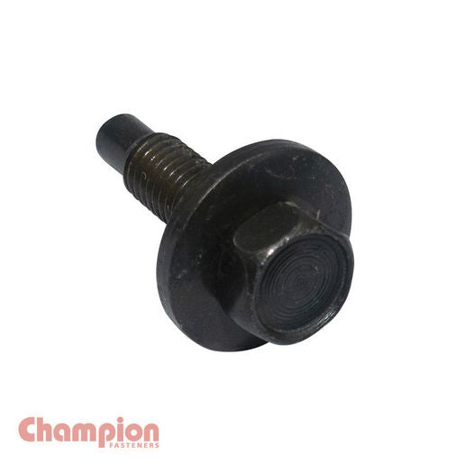 Champion Hex Screw Set Sems-Hex-Ind Flat Washer Pilot M5 x 19mm 50Pk CBP183