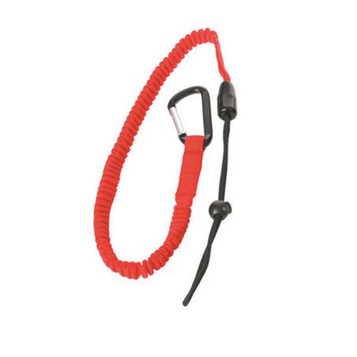 Toledo Security Spring Hook 10Kg 301908