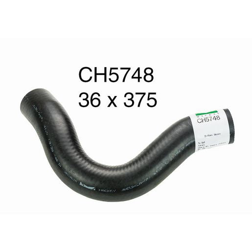 Mackay Radiator Hose Bottom CH5748