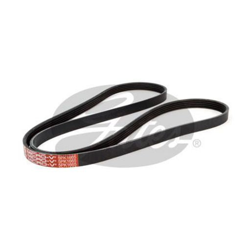 Gates Micro-V Belt 5PK1665